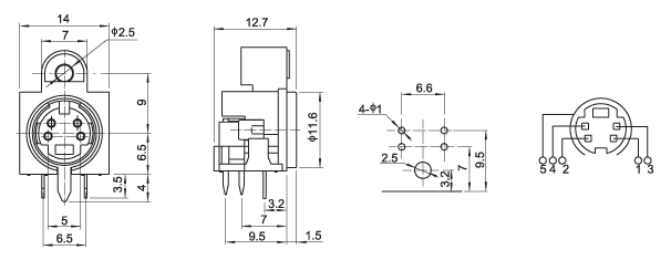 DSW-405.jpg